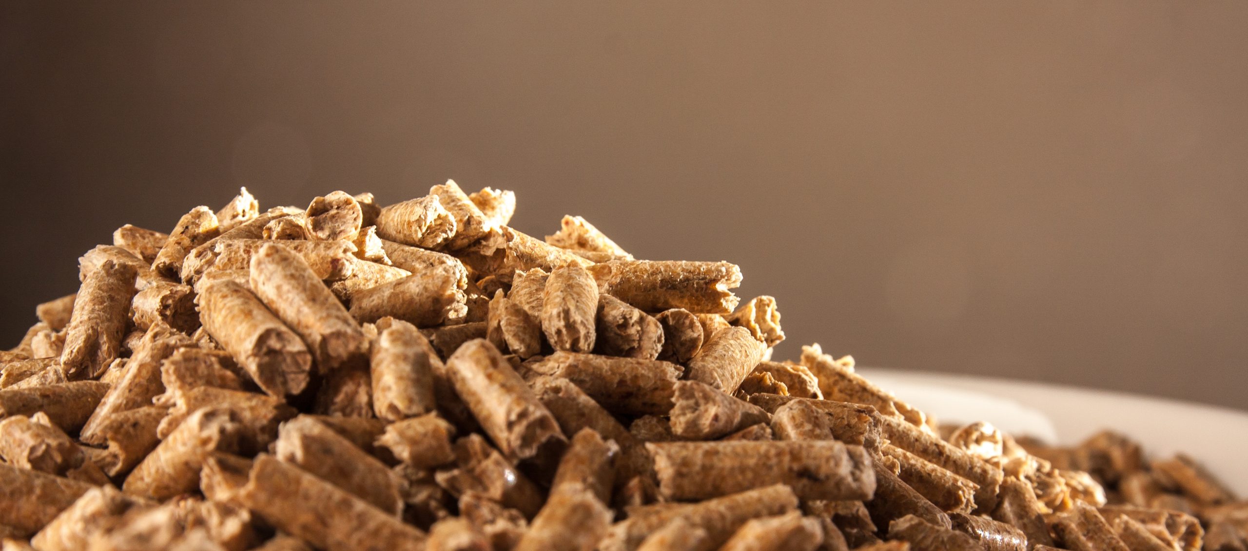 Broyat ou carton brun ? Le guide terrain du structurant pour un compost sans odeurs (quantités, coûts, timing)