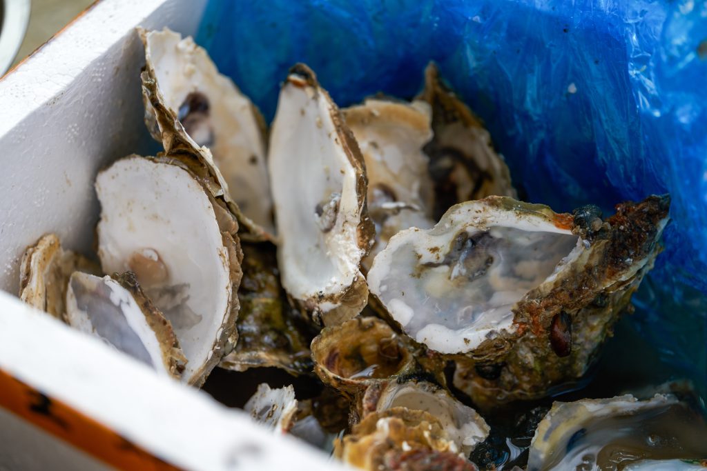 fruit de mer poubelle