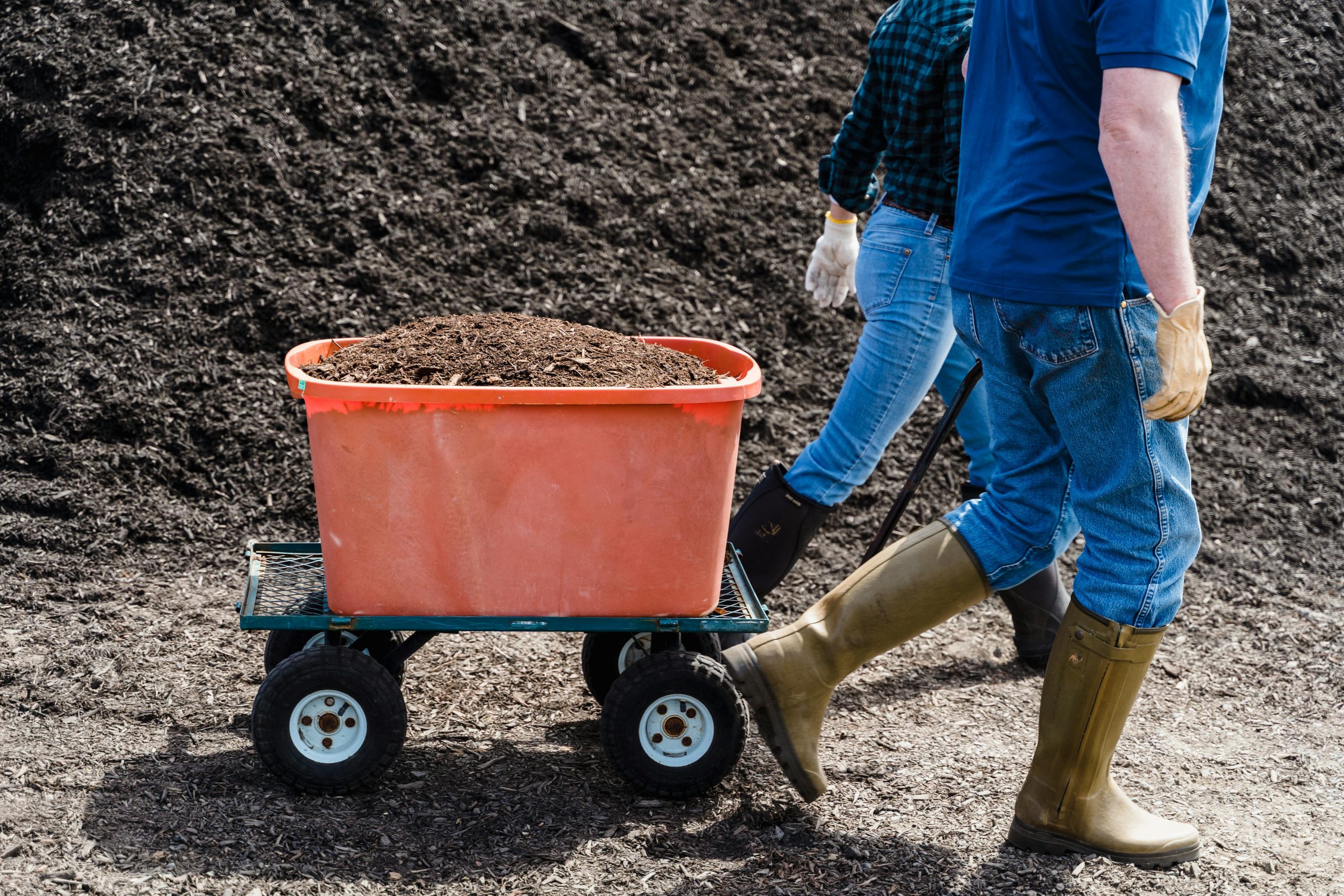 Biodiversité urbaine : Pourquoi le compost vivant est le « probiotique » de nos villes ?